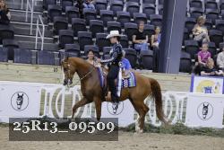 25R13_09509 thumbnail