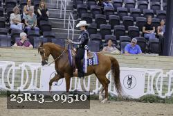 25R13_09510 thumbnail