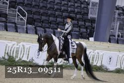 25R13_09511 thumbnail