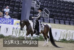 25R13_09513 thumbnail
