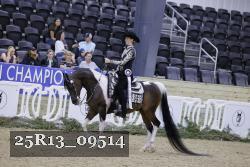25R13_09514 thumbnail
