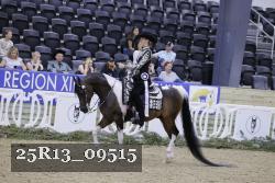 25R13_09515 thumbnail