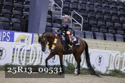 25R13_09531 thumbnail