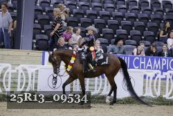 25R13_09534 thumbnail