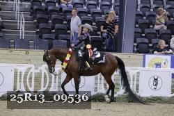 25R13_09536 thumbnail