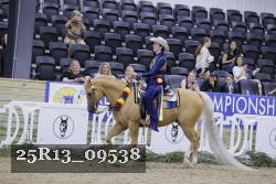 25R13_09538 thumbnail