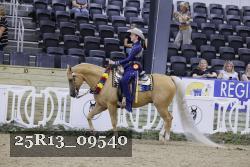 25R13_09540 thumbnail
