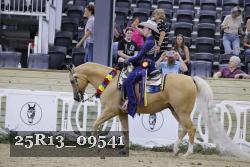 25R13_09541 thumbnail