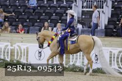 25R13_09542 thumbnail