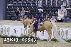 25R13_09543 thumbnail