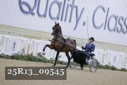 25R13_09545 thumbnail