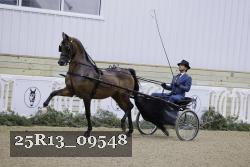 25R13_09548 thumbnail