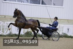 25R13_09549 thumbnail