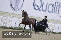 25R13_09551 thumbnail