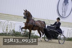25R13_09552 thumbnail