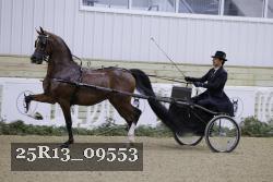 25R13_09553 thumbnail