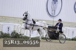 25R13_09556 thumbnail