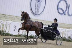 25R13_09557 thumbnail