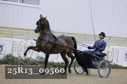 25R13_09560 thumbnail