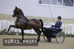 25R13_09561 thumbnail