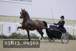 25R13_09562 thumbnail