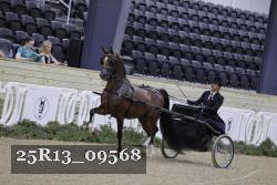 25R13_09568 thumbnail