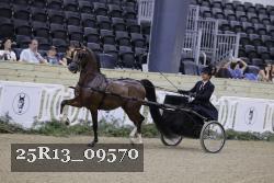 25R13_09570 thumbnail