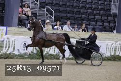 25R13_09571 thumbnail