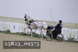 25R13_09573 thumbnail