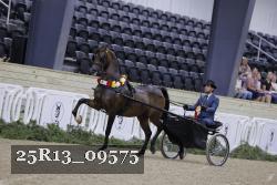 25R13_09575 thumbnail