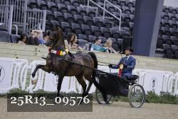 25R13_09576 thumbnail