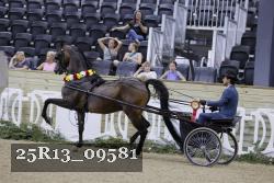25R13_09581 thumbnail
