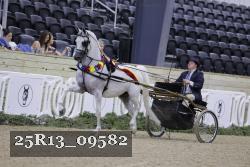 25R13_09582 thumbnail