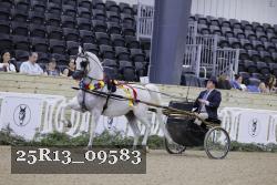 25R13_09583 thumbnail