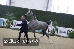 25R13_09588 thumbnail