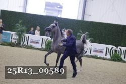 25R13_09589 thumbnail