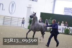 25R13_09590 thumbnail