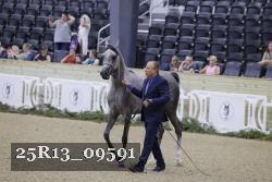 25R13_09591 thumbnail