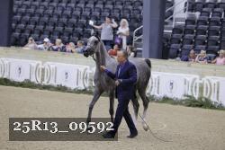 25R13_09592 thumbnail