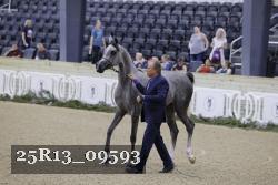 25R13_09593 thumbnail