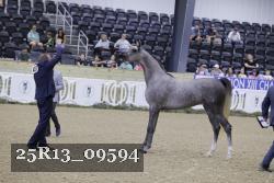 25R13_09594 thumbnail