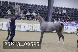 25R13_09595 thumbnail