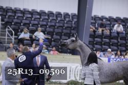 25R13_09596 thumbnail