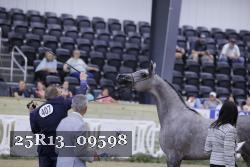 25R13_09598 thumbnail