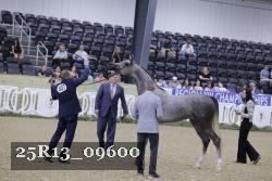 25R13_09600 thumbnail