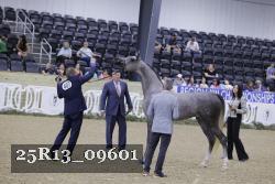 25R13_09601 thumbnail