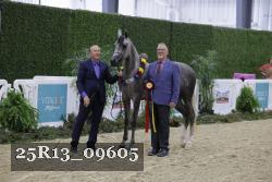 25R13_09605 thumbnail