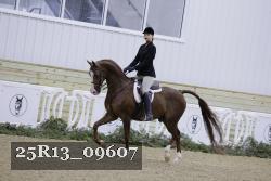 25R13_09607 thumbnail