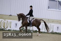 25R13_09608 thumbnail