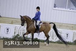 25R13_09610 thumbnail
